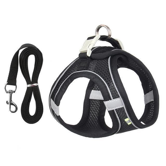 Adjustable Harness and Leash Set for Small Dogs and Cats | Filindra