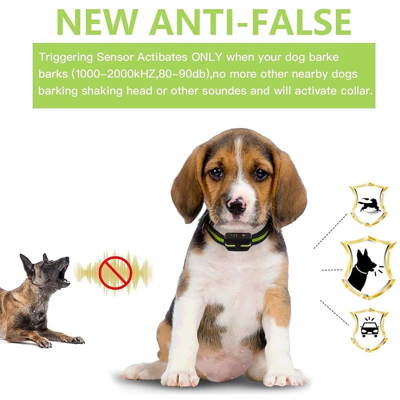 Collare ricaricabile antiabbaio per cani — Controllo intelligente delle scosse