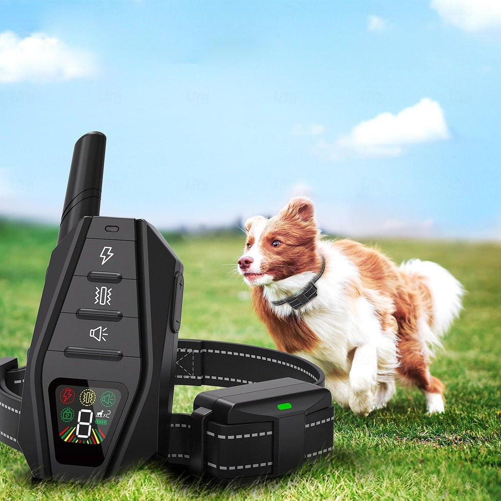 Collier de dressage pour chiens — Télécommande, modes bip, vibration et stimulation statique