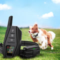 Collier de dressage pour chiens — Télécommande, modes bip, vibration et stimulation statique