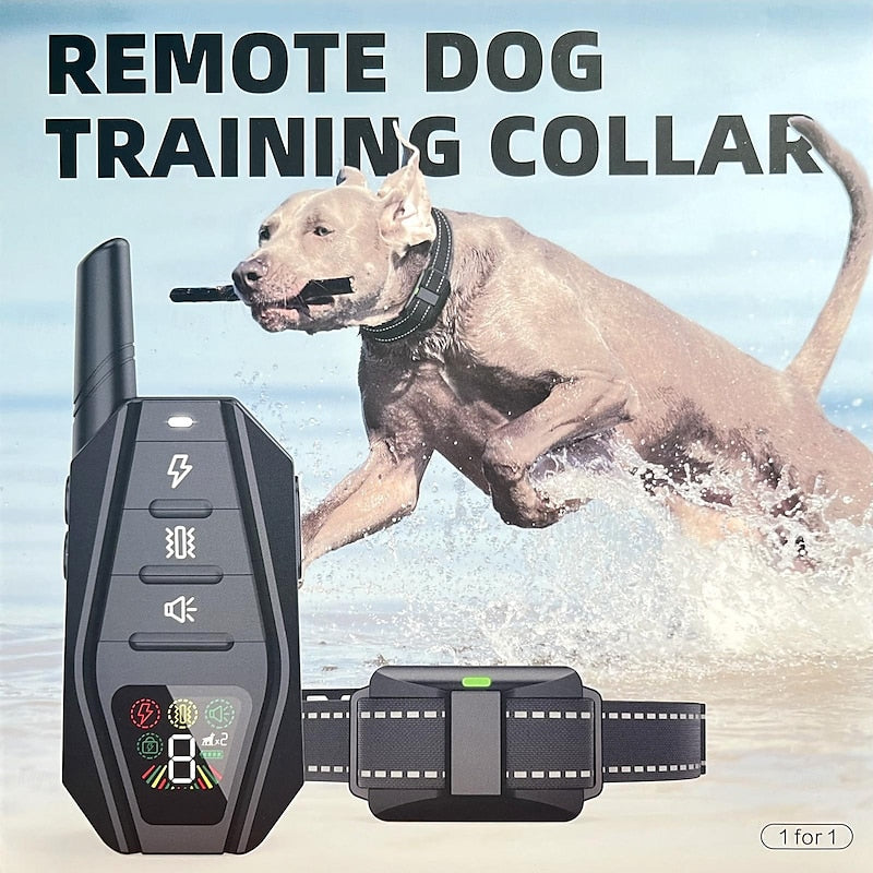Collier de dressage pour chiens — Télécommande, modes bip, vibration et stimulation statique