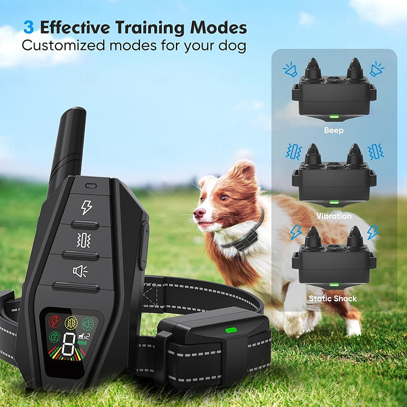 Collier de dressage pour chiens — Télécommande, modes bip, vibration et stimulation statique