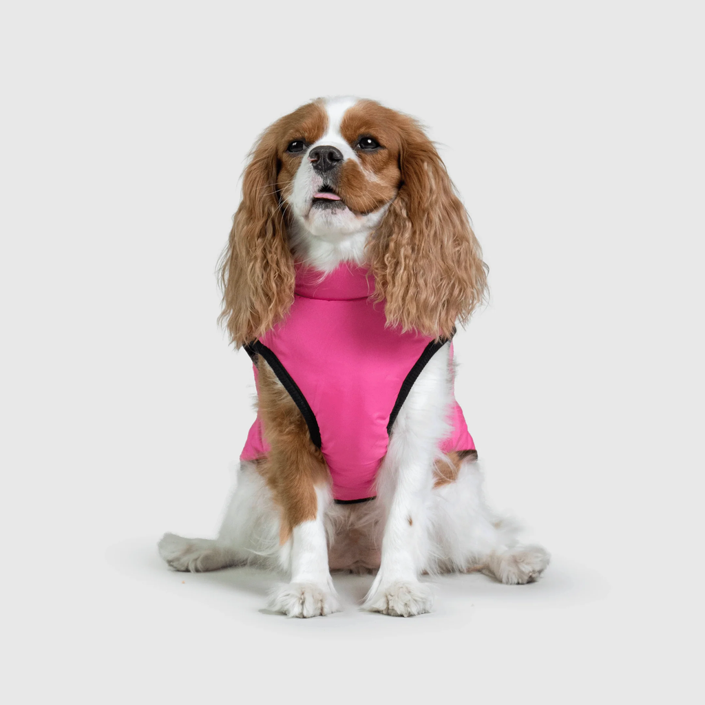 3 in 1 冬用犬用ジャケット — 寒い季節に暖かいコート