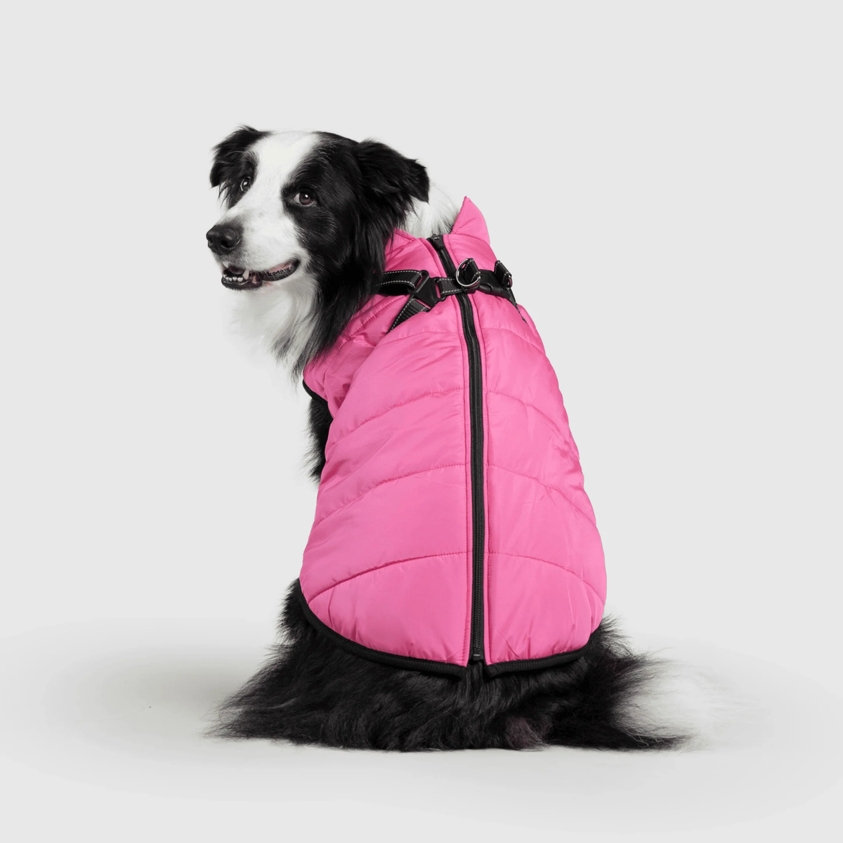 3 in 1 冬用犬用ジャケット — 寒い季節に暖かいコート