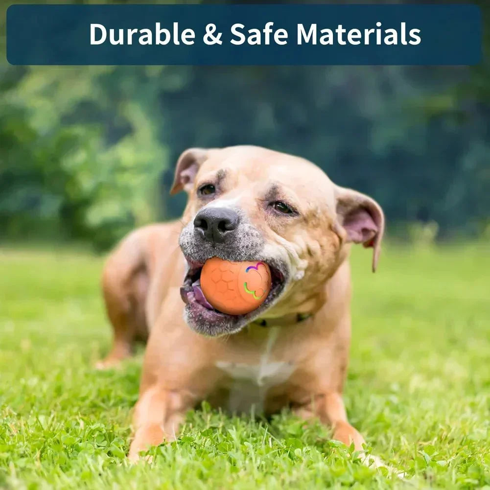PlayPaws Interactive Rolling Ball Toy — Motion Sensor