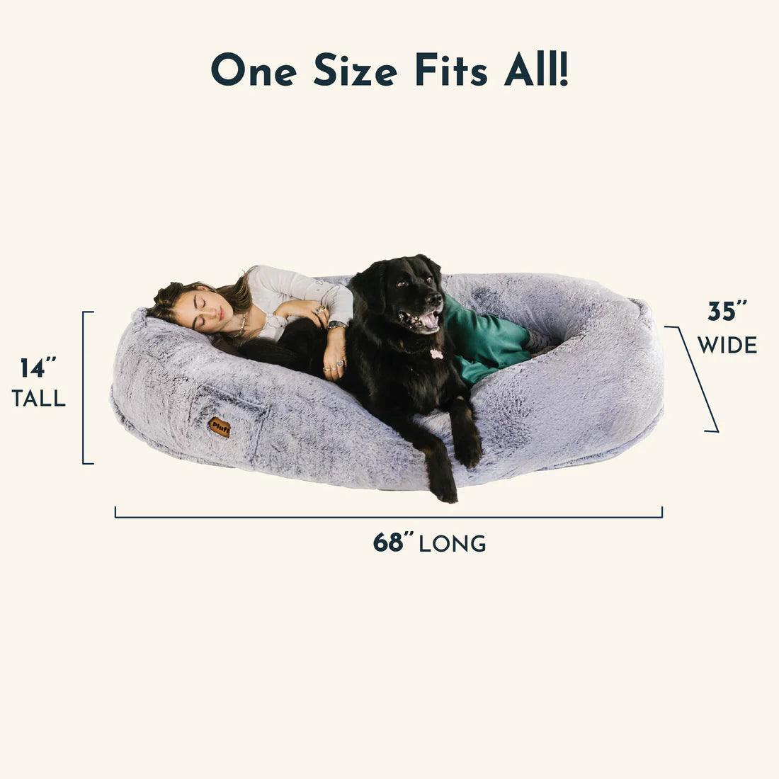 Lit ultra-confortable pour humains et chiens — Méridienne partagée surdimensionnée