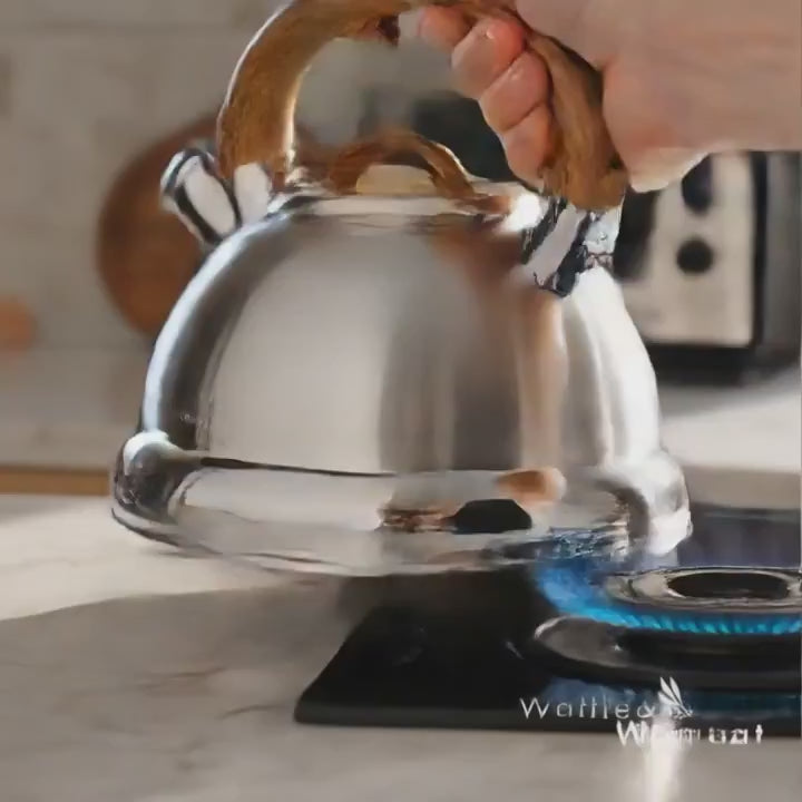 Premium Stainless Steel Whistling Kettle — Durable Build & Smooth Pour