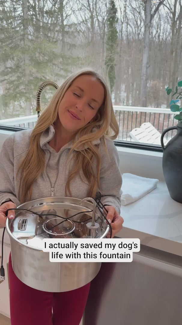 Stainless Steel Canine Hydration Station — Tiered Filtration System