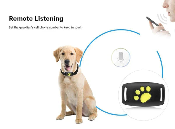 Localizzatore GPS per gatti PawGuard — Microchip integrato, dispositivo compatto da 65 g