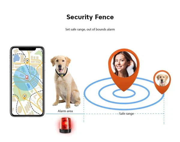 Localizzatore GPS per gatti PawGuard — Microchip integrato, dispositivo compatto da 65 g
