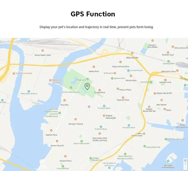Localizzatore GPS per gatti PawGuard — Microchip integrato, dispositivo compatto da 65 g