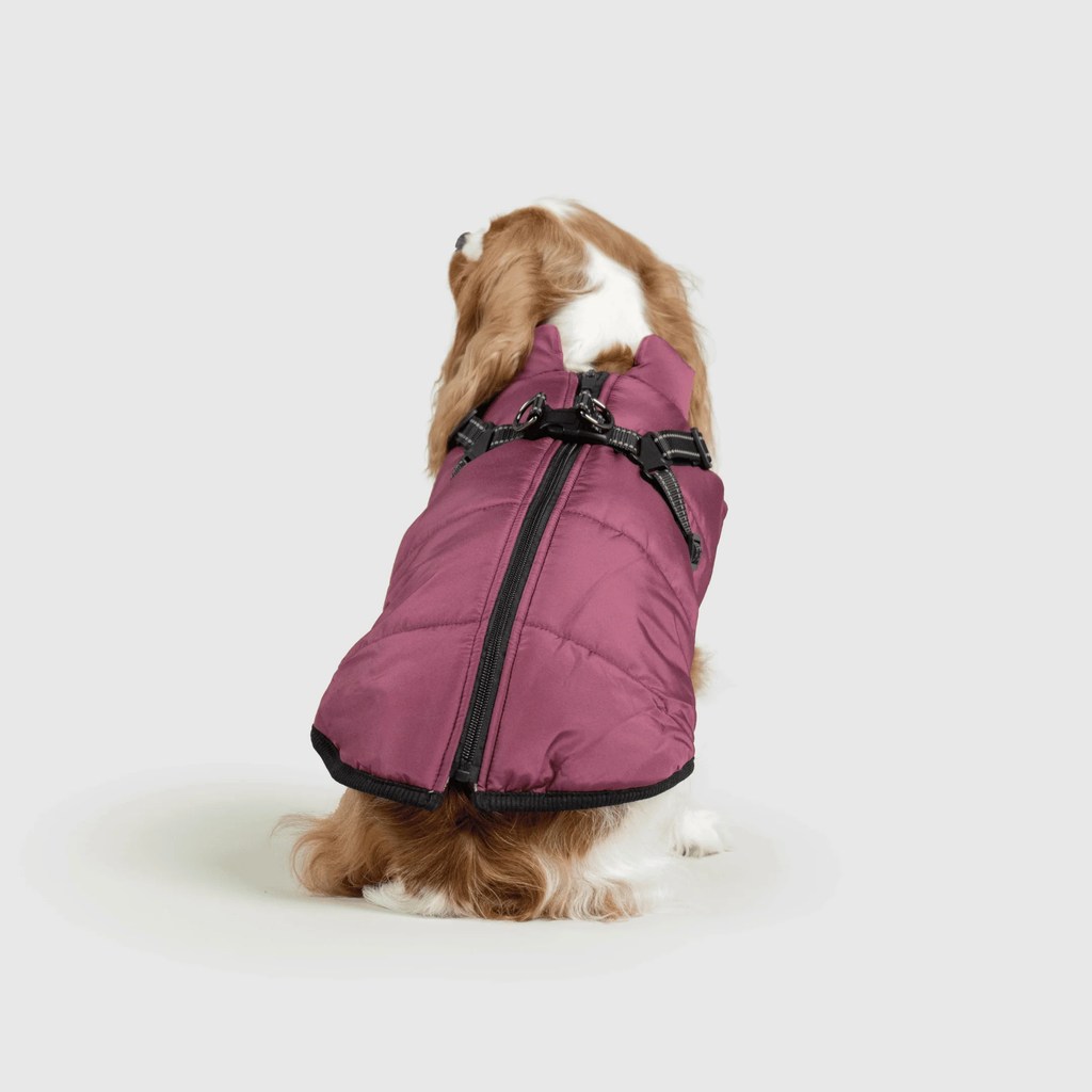 3 in 1 冬用犬用ジャケット — 寒い季節に暖かいコート