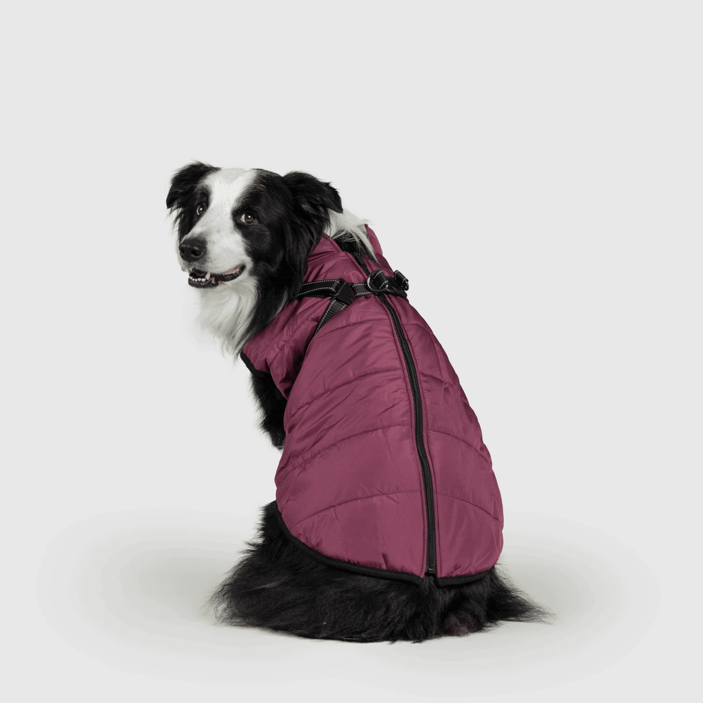 3 in 1 冬用犬用ジャケット — 寒い季節に暖かいコート