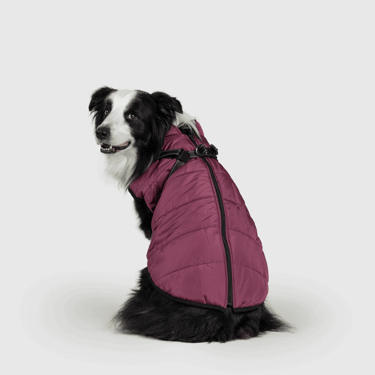 3 in 1 冬用犬用ジャケット — 寒い季節に暖かいコート