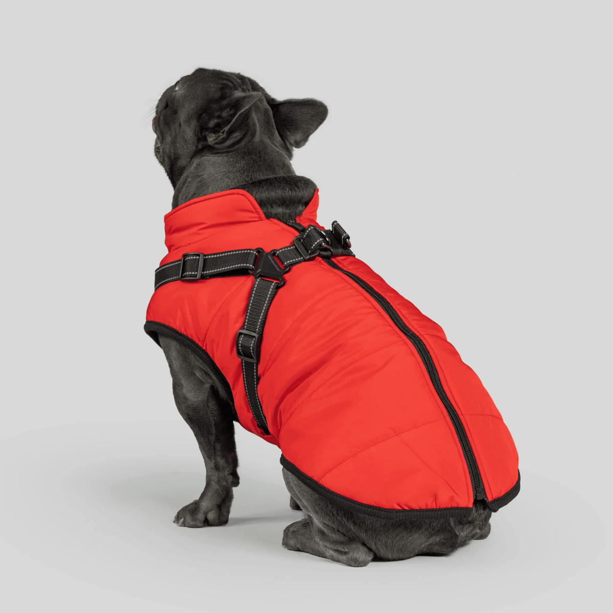 3 in 1 冬用犬用ジャケット — 寒い季節に暖かいコート