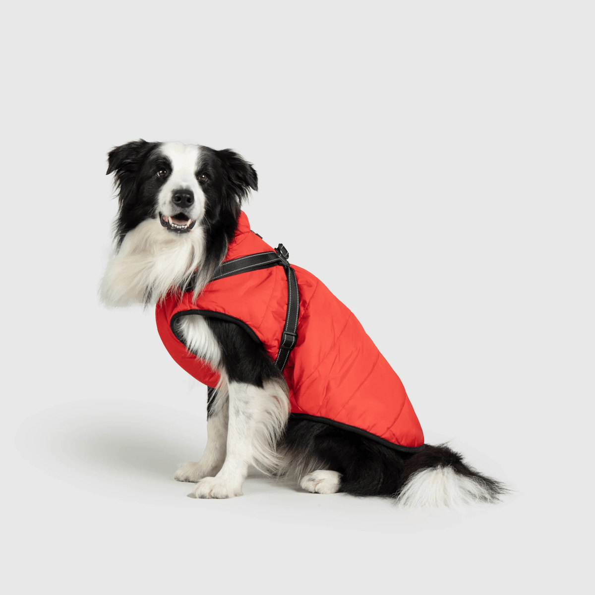3 in 1 冬用犬用ジャケット — 寒い季節に暖かいコート