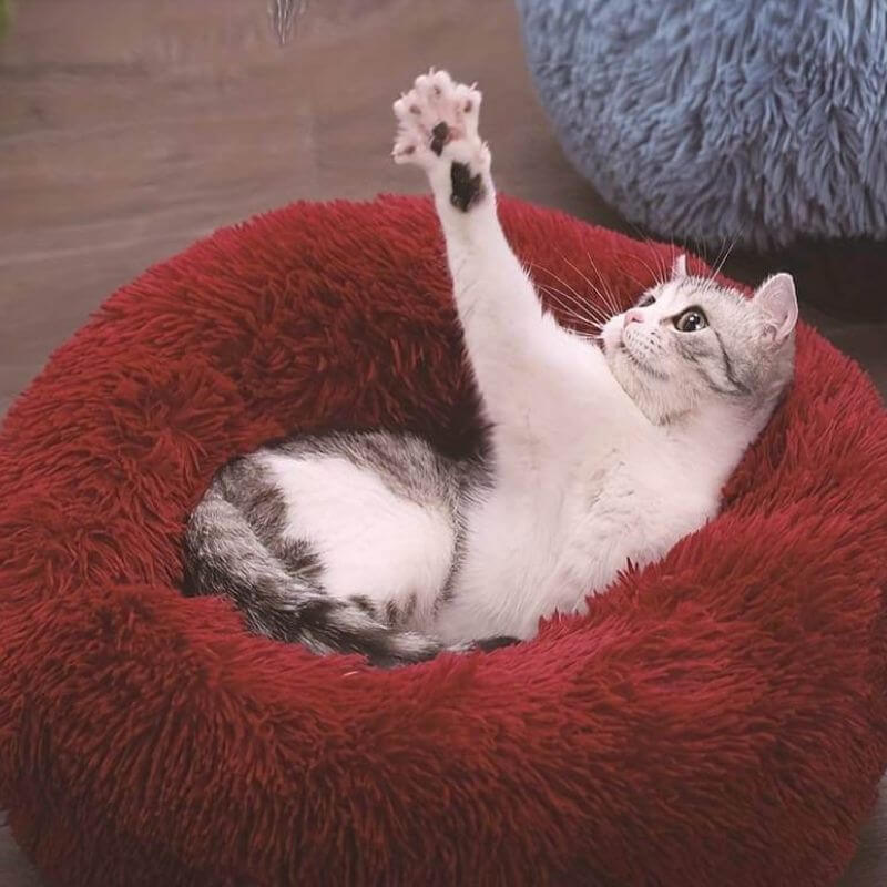Pelíšek pro kočky CalmPaws — měkký podpůrný polštář