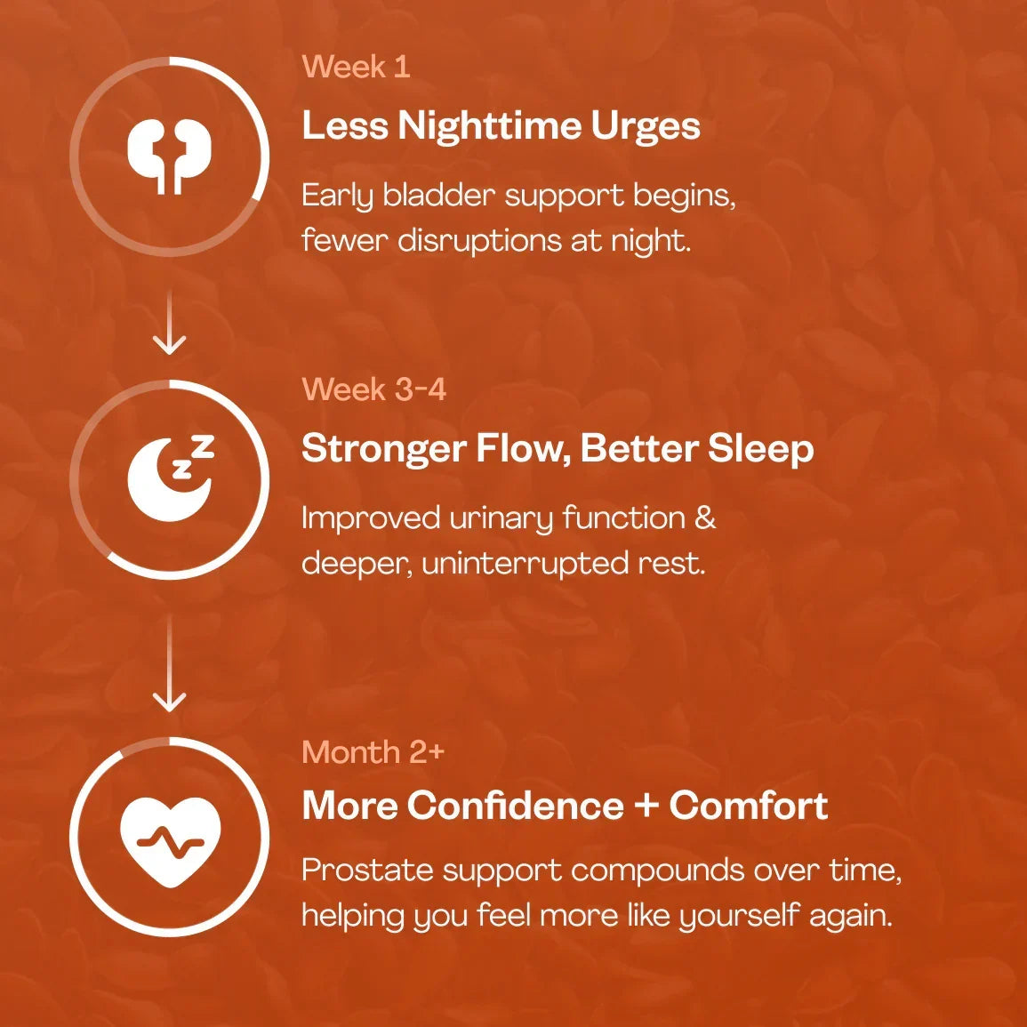 Pumpkin Seed Oil and Saw Palmetto Softgels — Zinc Daily Nutritional Blend