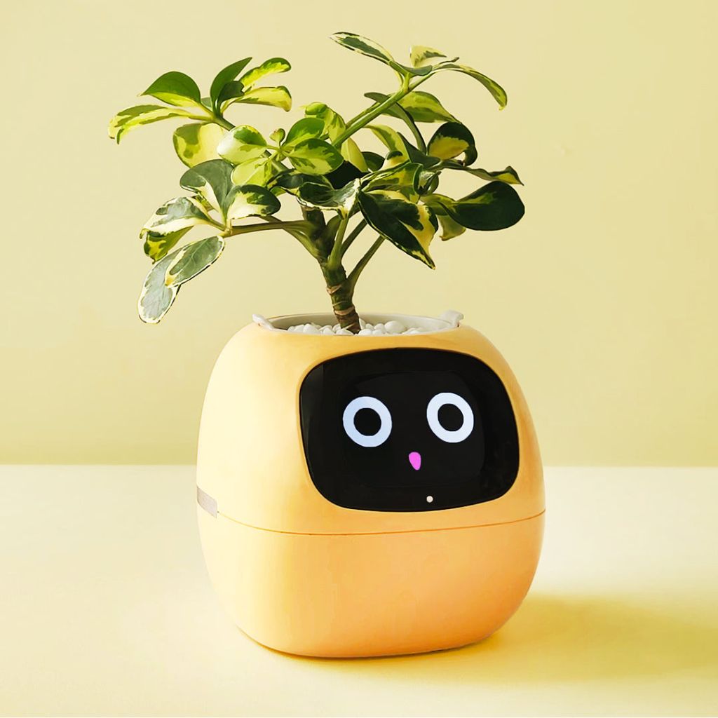 Ivy intelligenter Pflanztopf - Reagiert auf Gesten, über 70 einzigartige Animationen