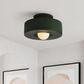 Nordic Wabi-Sabi Resin Cylinder Ceiling Lamp — Dimmable 30cm, Flush Mount, Black, Green & Red