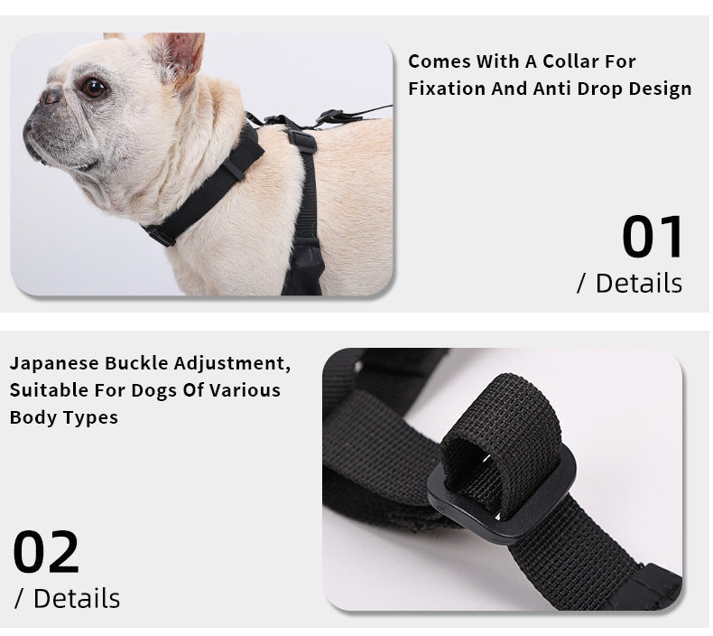 Botas ajustáveis para cães | Filindra